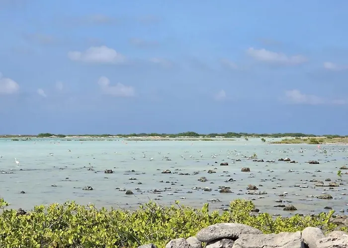 The Lodge Bonaire
