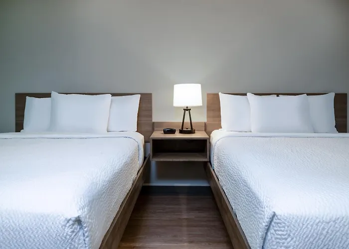 Echo Suties Extended Stay By Wyndham Austin Round Rock