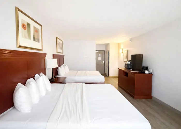 Seffner Inn And Suites