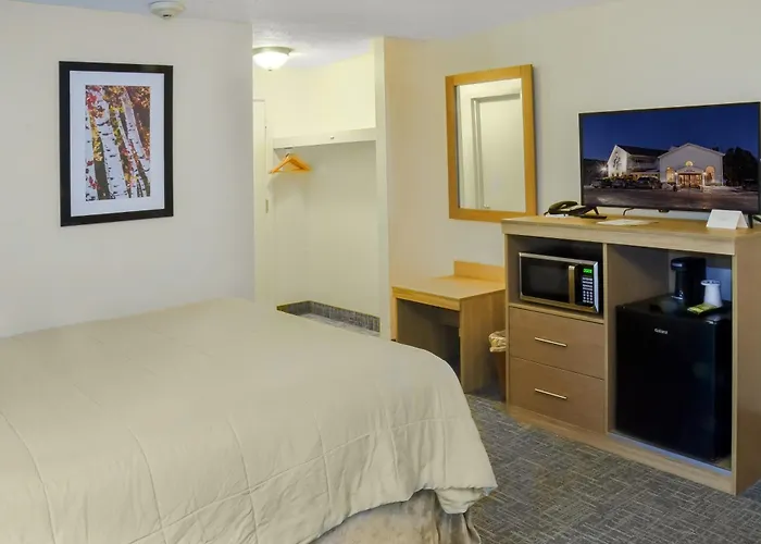 Pet Friendly hotel: Town & Country Inn & Resort