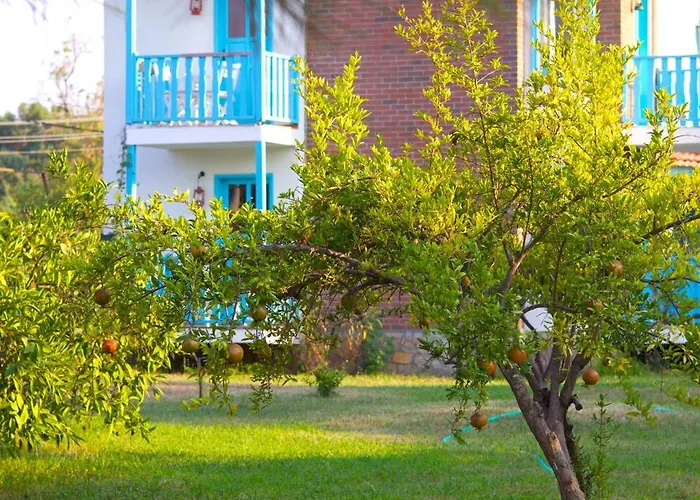 Yonca Lodge