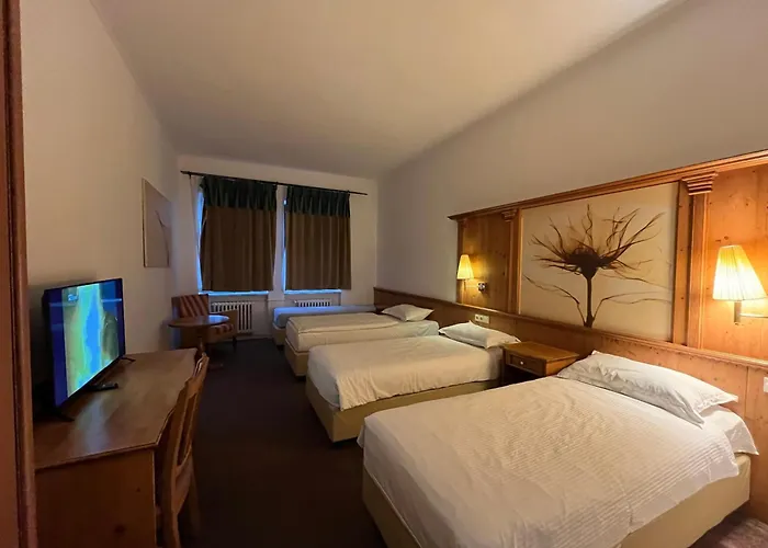 Hotel Branik