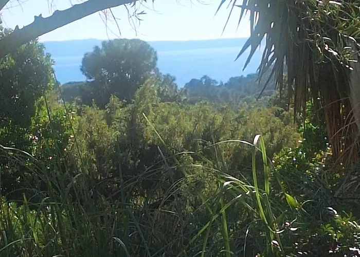 Massacan-Vue Mer