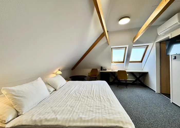 Hotel U Vlašského Dvora