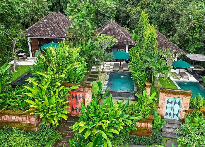 The Damai