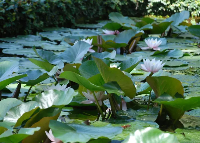 Hotel boutique: Villa della Pergola Relais et Chateaux