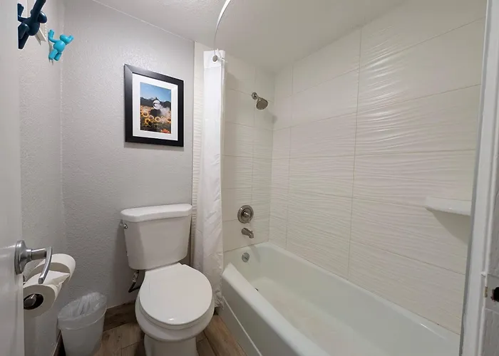 Comfort Inn & Suites Denver West - Golden