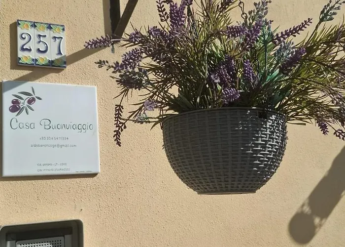 Buonviaggio