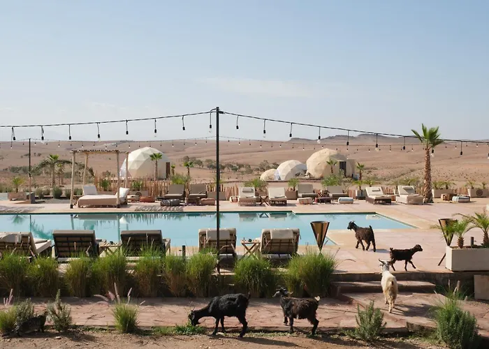 Hôtel accueillant les animaux: Agafay Valley