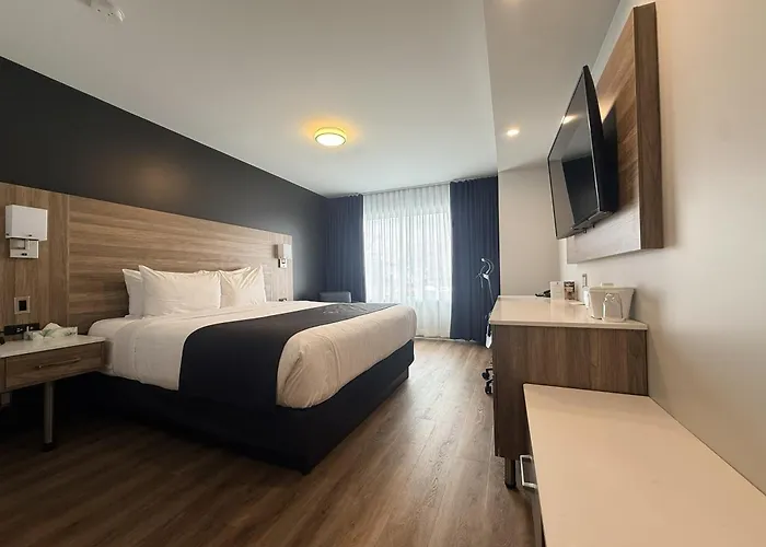 & Suites Le Dauphin