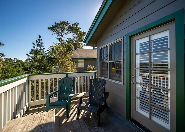 Cambria Pines