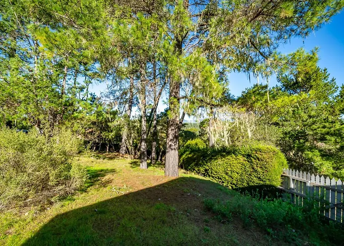 Cambria Pines