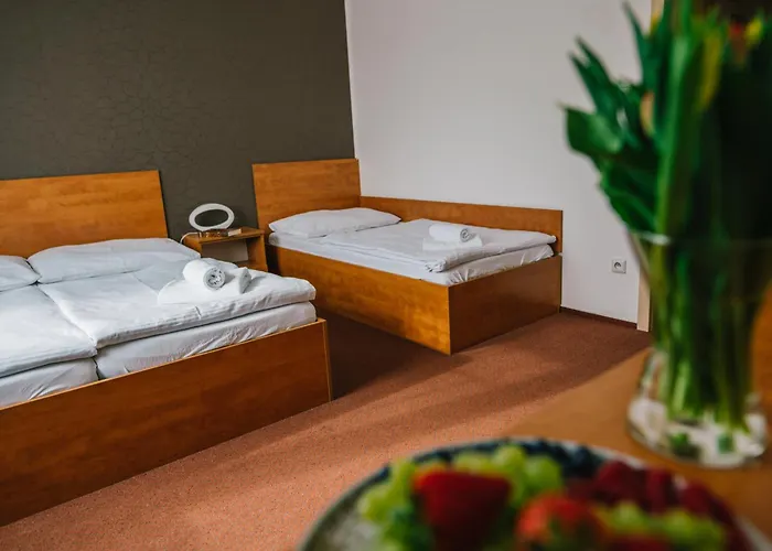 Hotel Olympionik