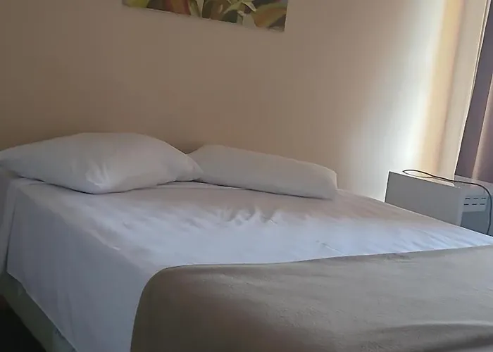  Pelicano