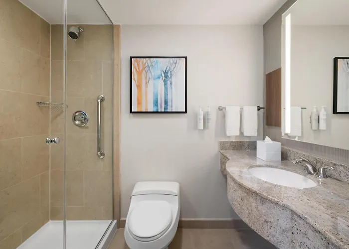 Hilton Garden Inn West 35Th Street