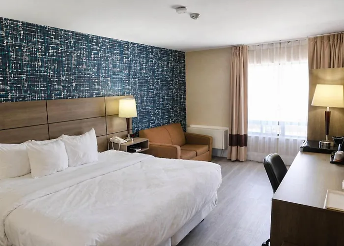 Boutique hotels Comfort