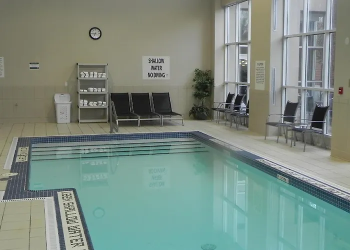 Dog friendly hotels Holiday Inn & Suites London By Ihg