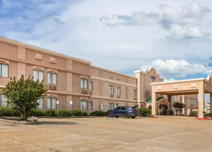 Hotel with pool: Comfort Inn North Conroe