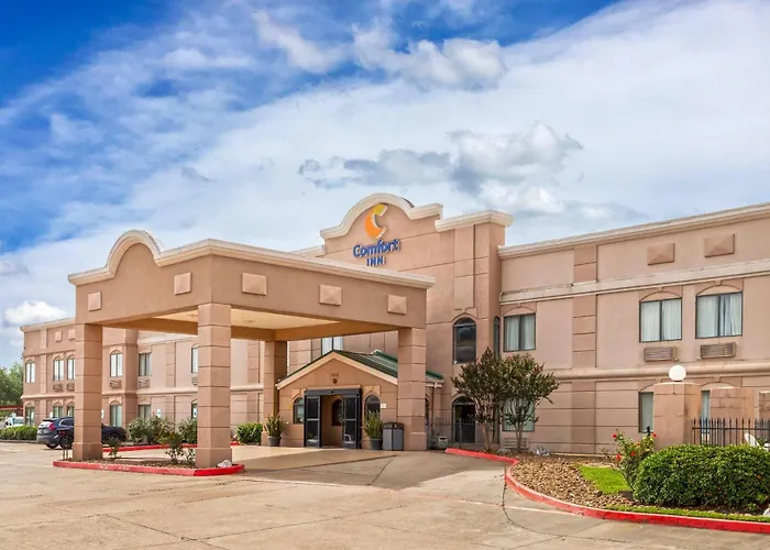 Hotel with pool: Comfort Inn North Conroe