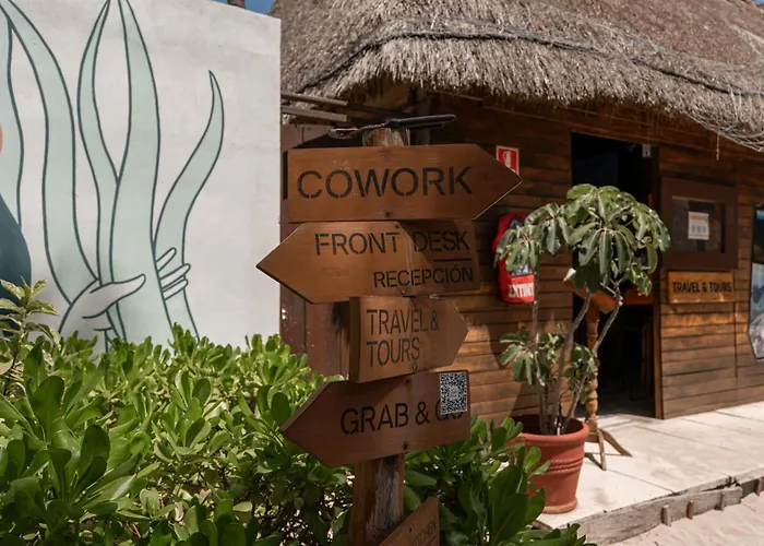 Pets Allowed Hotel Nilu Isla Mujeres By Selina