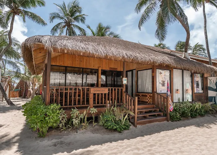 Pets Allowed Hotel Nilu Isla Mujeres By Selina