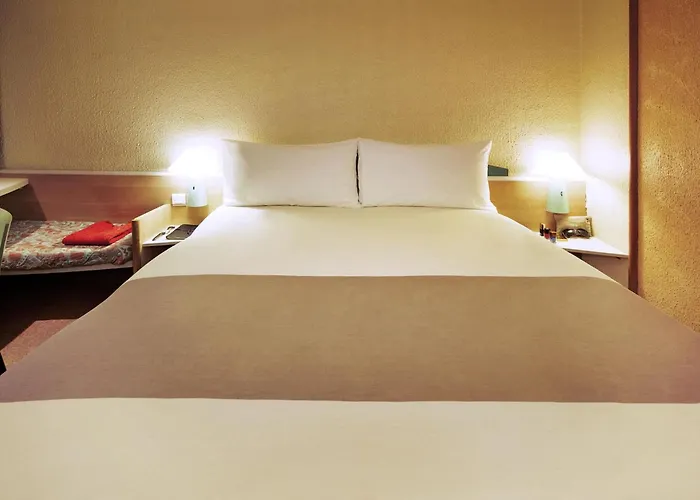 Ibis Arapiraca