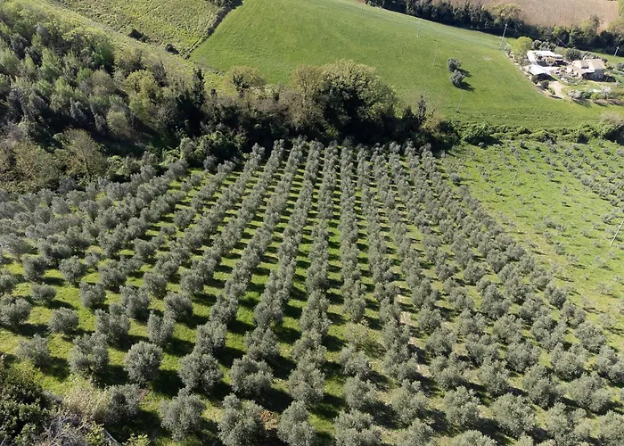 Agriturismo Il Falco
