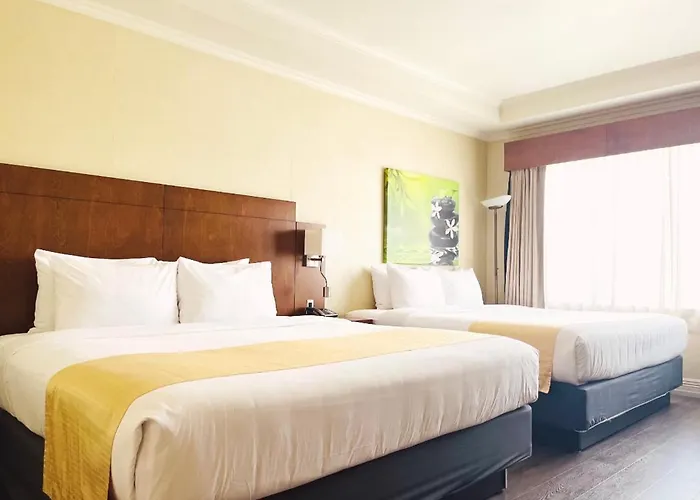 & Suites Le Dauphin
