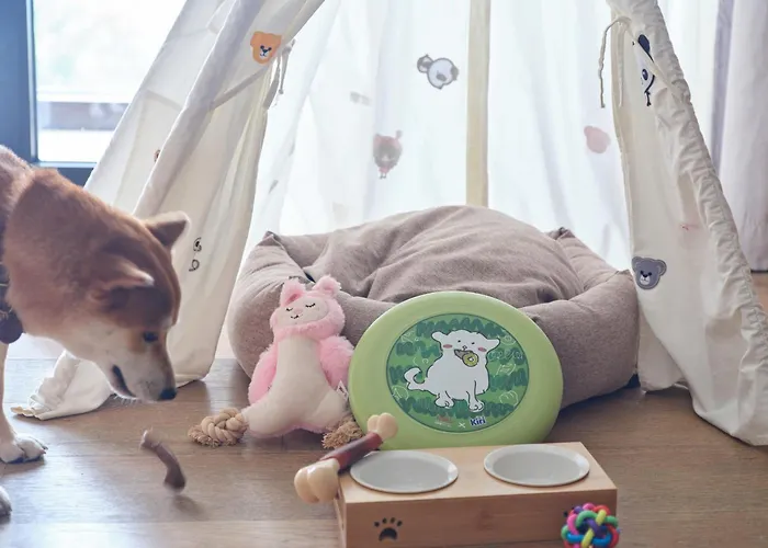 Dog friendly hotels Sunshine Yi Haitang Bay, Sanya, Previously A 1