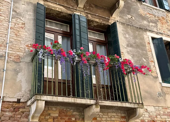Lions Venice