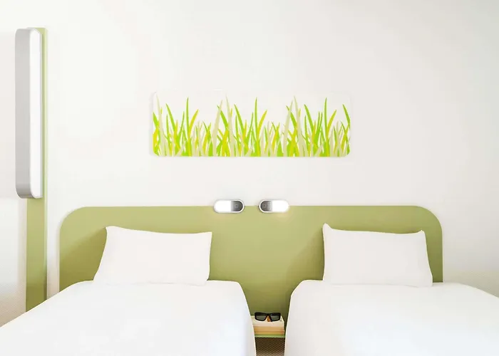 Animaux admis Ibis Budget Montauban Les Chaumes