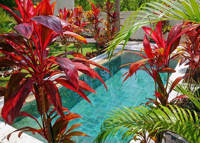 Hakuna Matata Bali s