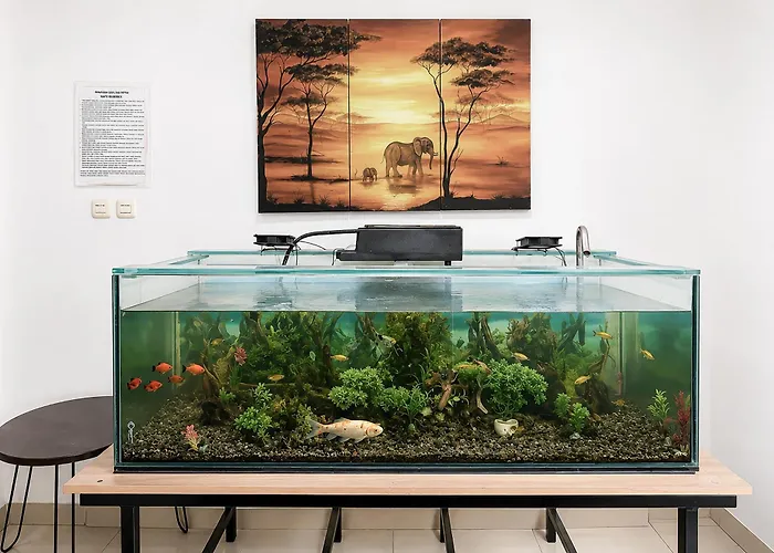 Rays Residence