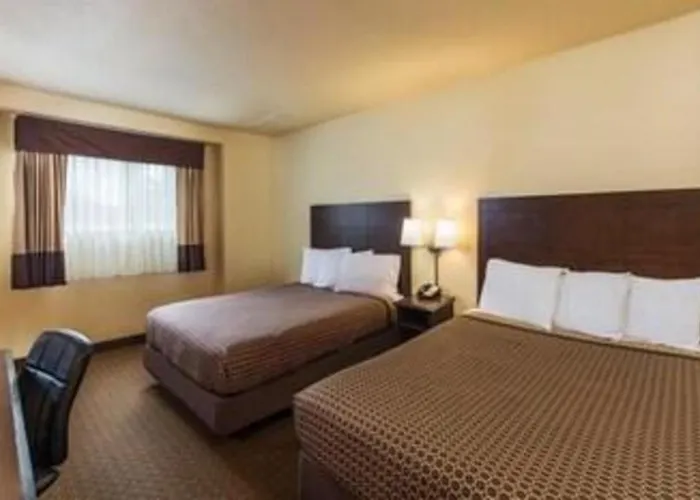 Lemon Heights Inn