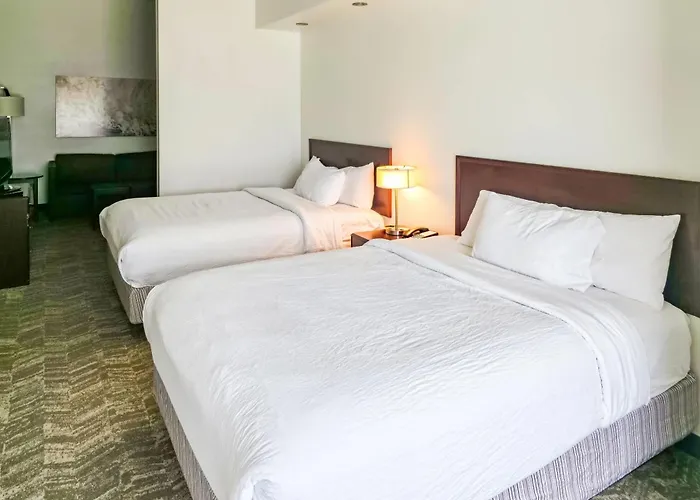Springhill Suites By Marriott Ardmore