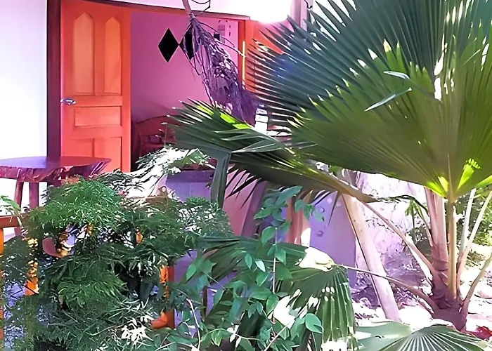 Coco Bay Guest House