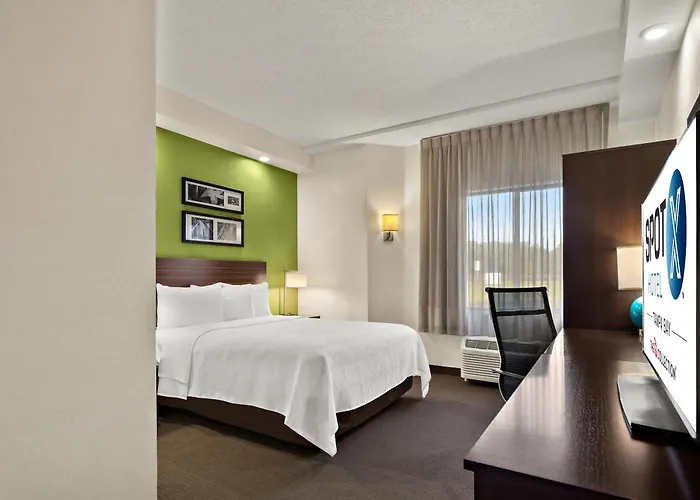 Spot X Hotel Wesley Chapel - Tampa Area