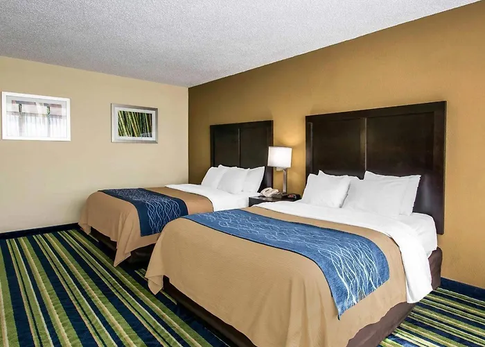 Comfort Inn & Suites Lantana - West Palm Beach South