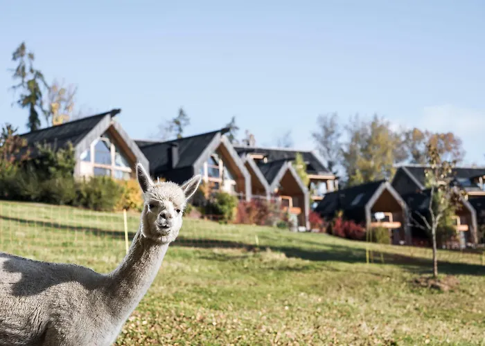 Adler Lodge Ritten