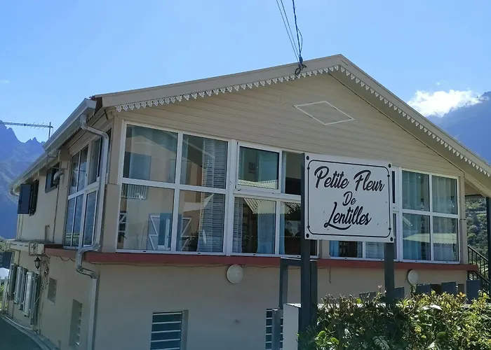 Petite fleur de lentilles