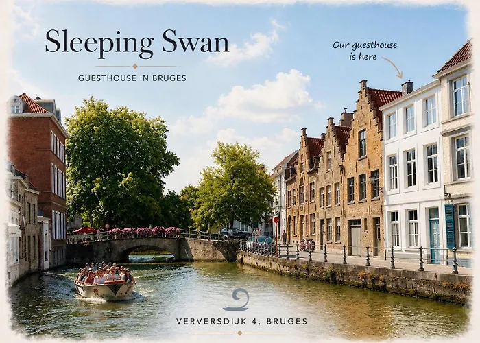 Sleeping Swan