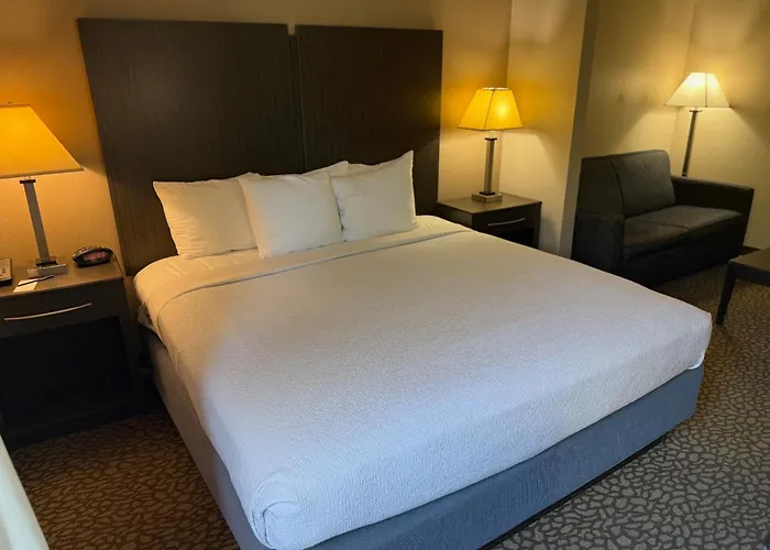 Comfort Inn & Suites Bradenton North I-75