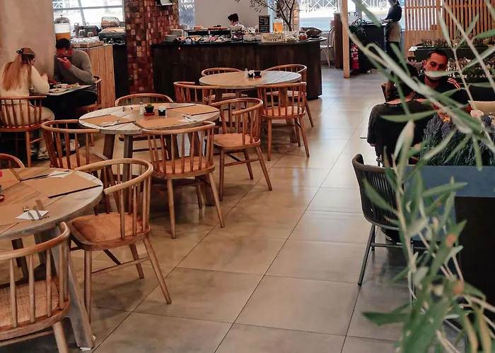 Ibis Providencia