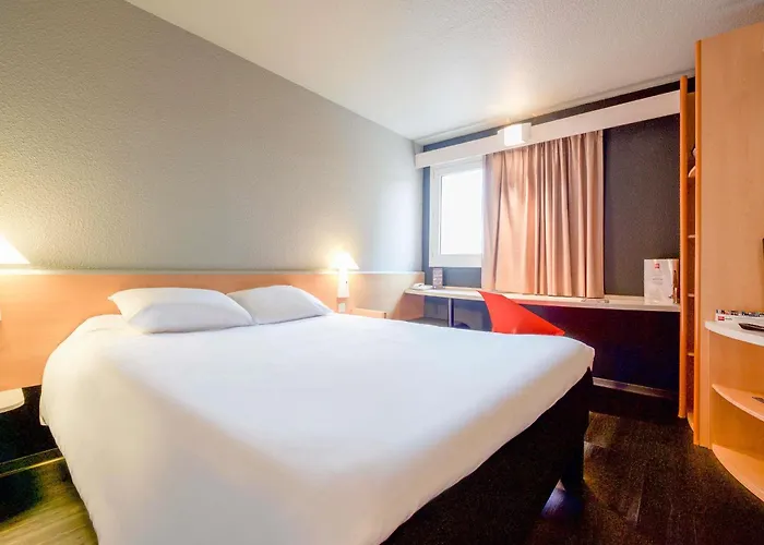 Ibis Pau