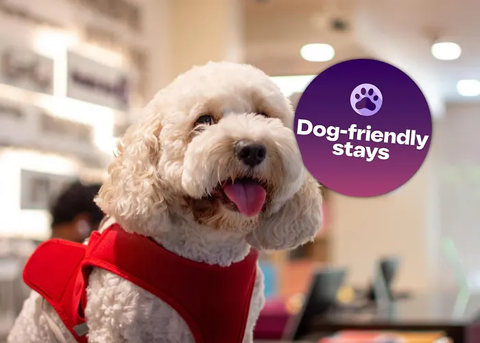 Premier Inn Dubai Al Jaddaf