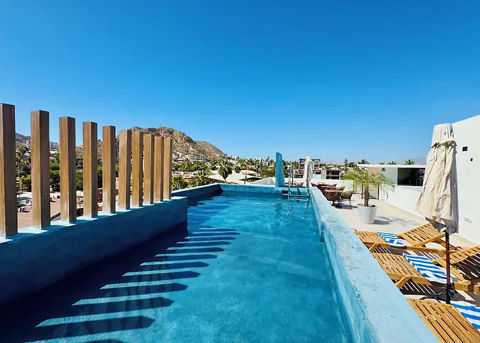 Colmena Hotel Los Cabos Marina
