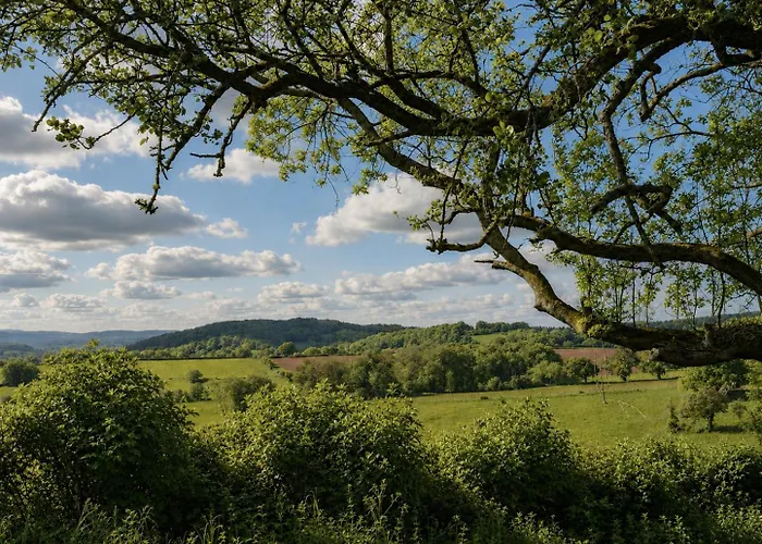 Caplor Glamping & Lodges