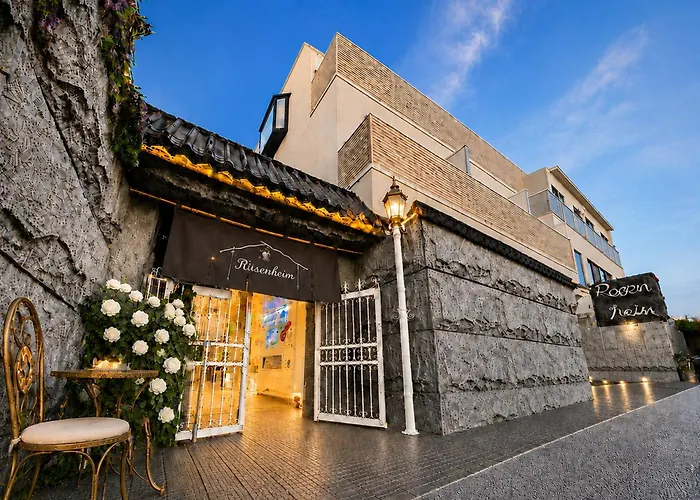 3 star hotels Rosenheim Tokyo Shinjuku
