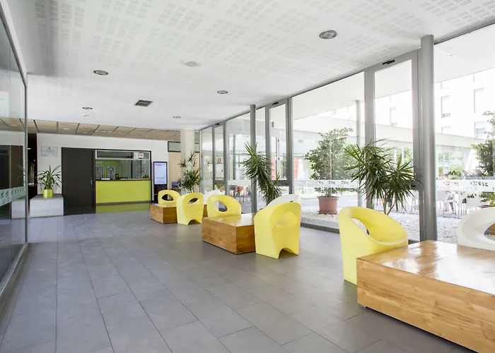 Perros hoteles Residencia Universitaria Damia Bonet