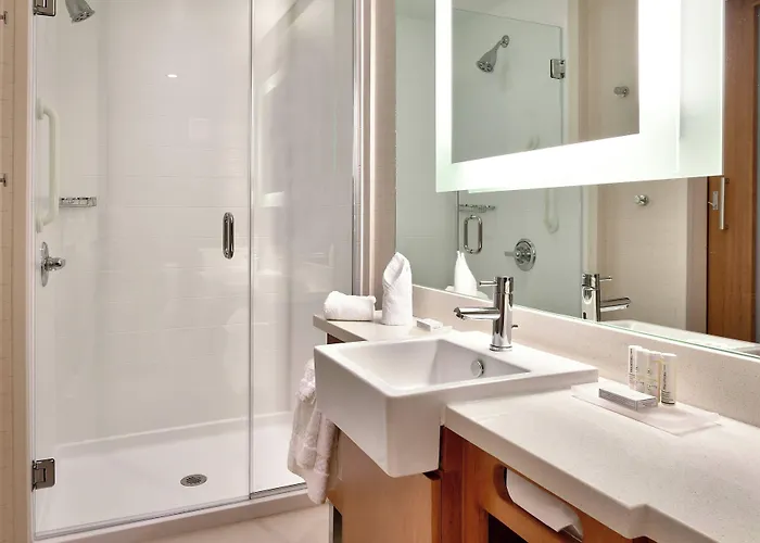 Springhill Suites By Marriott Houston I-45 North